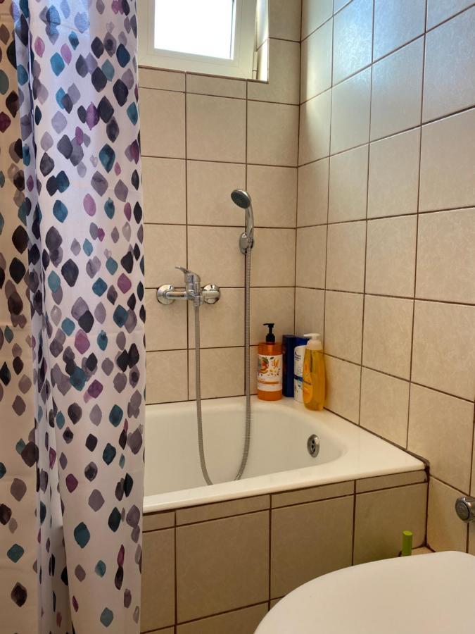 Cozy And Quiet Mini City Apartment Τρίκαλα Εξωτερικό φωτογραφία