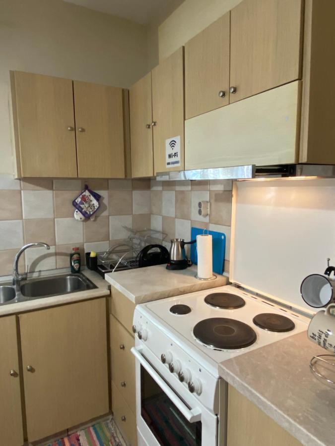 Cozy And Quiet Mini City Apartment Τρίκαλα Εξωτερικό φωτογραφία