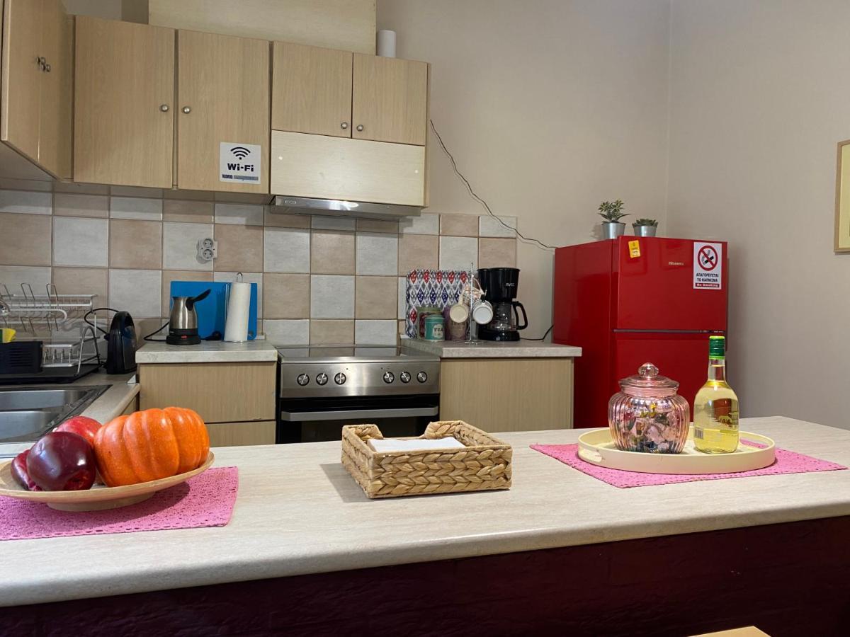 Cozy And Quiet Mini City Apartment Τρίκαλα Εξωτερικό φωτογραφία
