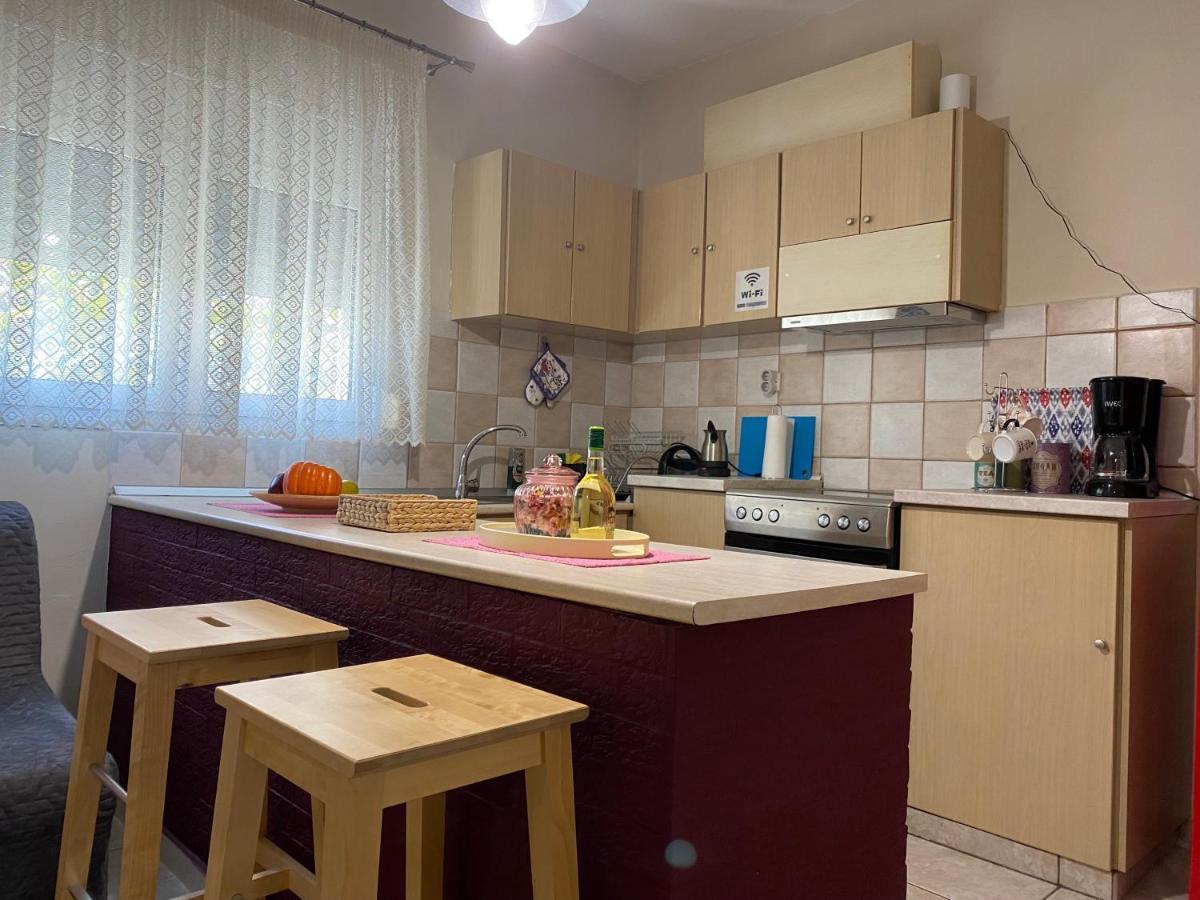 Cozy And Quiet Mini City Apartment Τρίκαλα Εξωτερικό φωτογραφία
