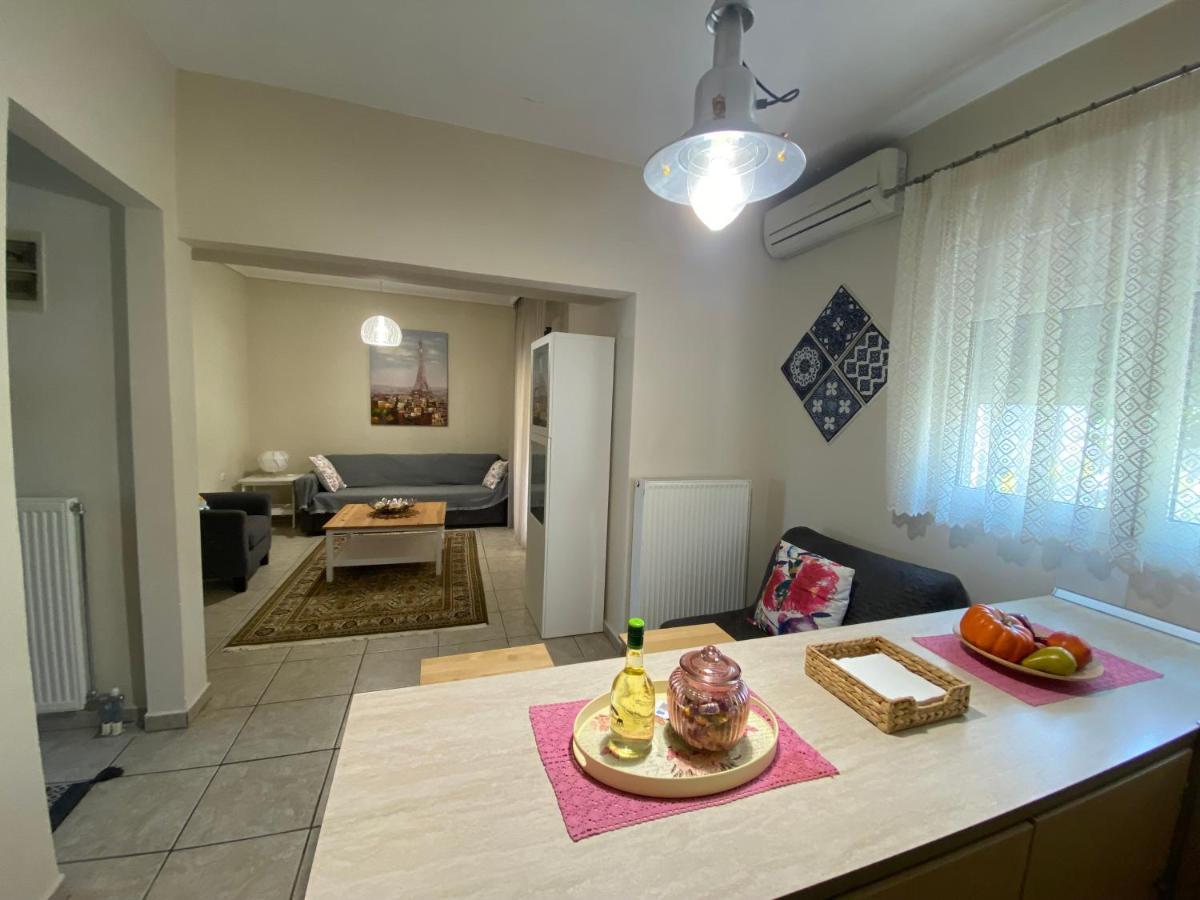 Cozy And Quiet Mini City Apartment Τρίκαλα Εξωτερικό φωτογραφία