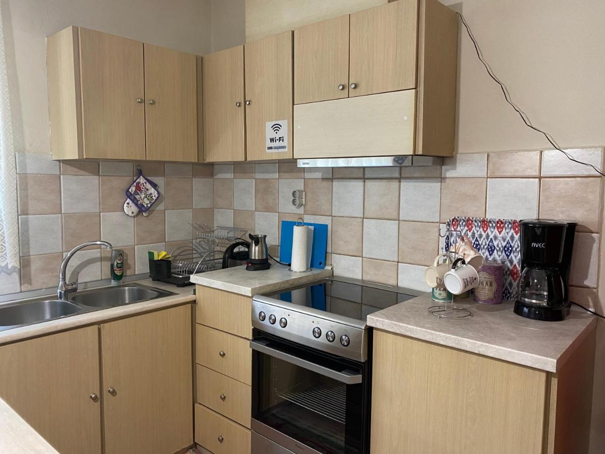 Cozy And Quiet Mini City Apartment Τρίκαλα Εξωτερικό φωτογραφία