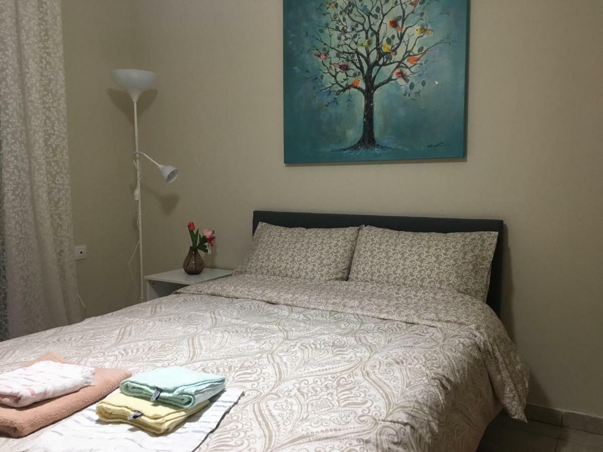 Cozy And Quiet Mini City Apartment Τρίκαλα Εξωτερικό φωτογραφία