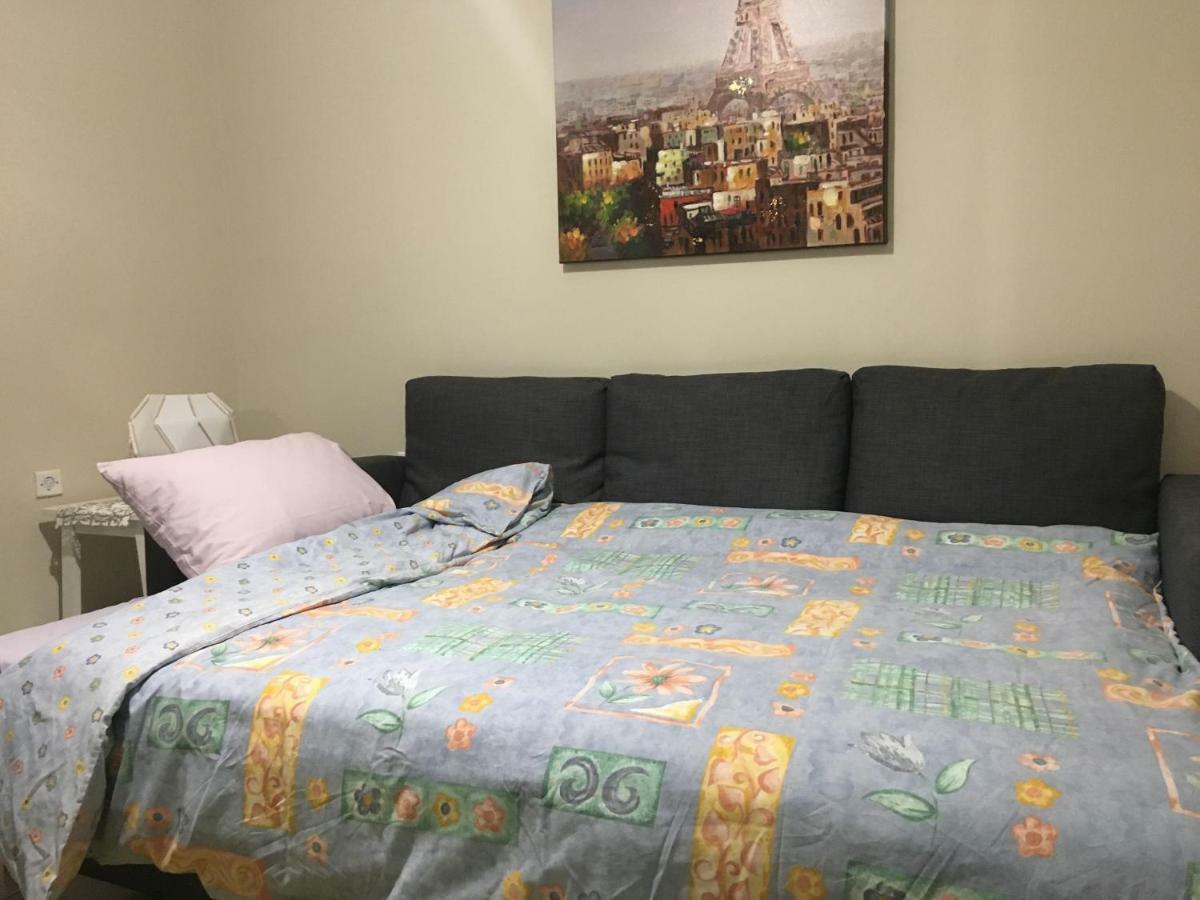 Cozy And Quiet Mini City Apartment Τρίκαλα Εξωτερικό φωτογραφία
